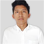 Profesor de matemáticas para niños, también enseño inglés, geografía, historia, literatura, biología, lectura crítica y oratoria
